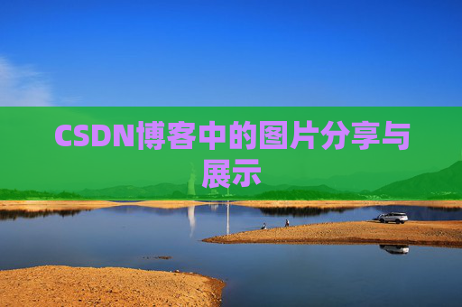 CSDN博客中的图片分享与展示